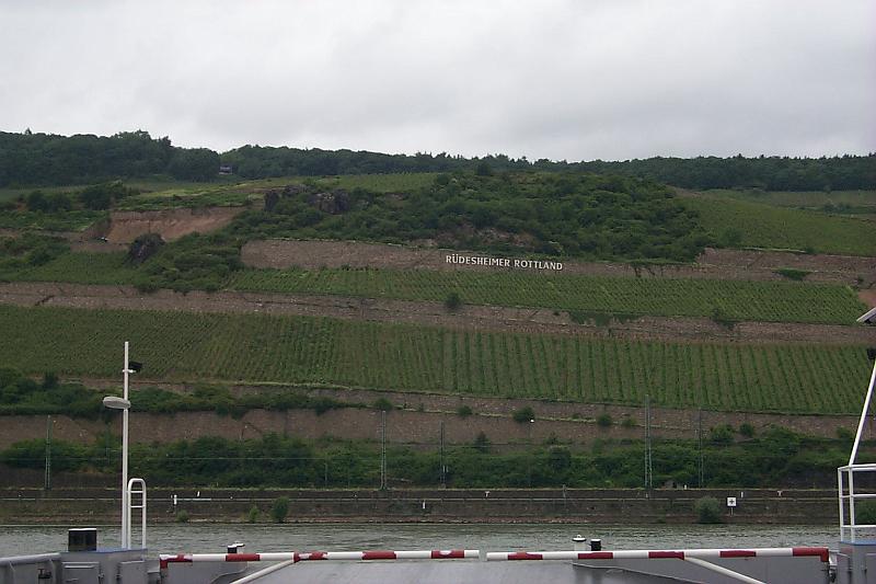 A101-Rhine.JPG