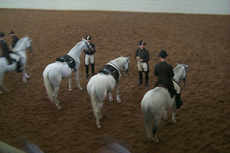 I25-Spanish_Riding_sch.JPG