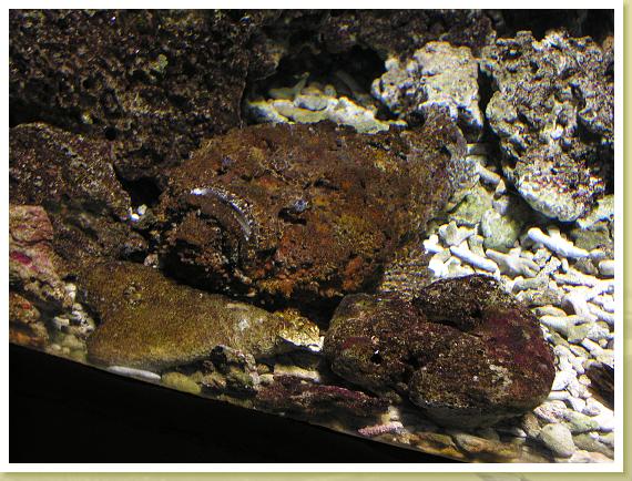 135